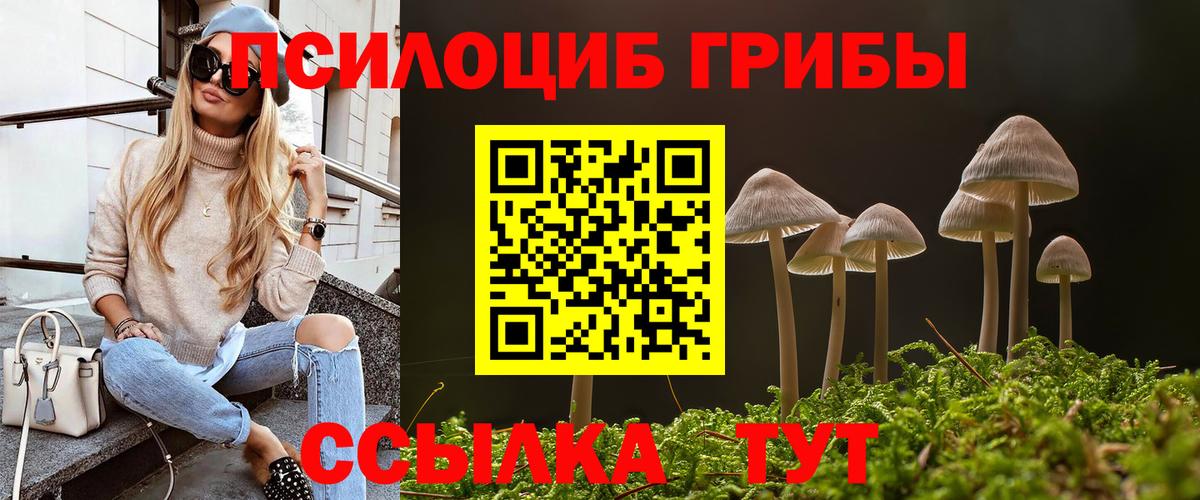 Выкса  Галлюциногенные грибы Psilocybine cubensis  Вход с VPN  Псилоцибиновые грибы Psilocybe 